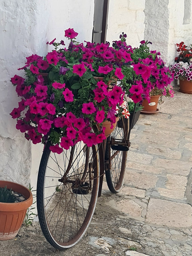 photo à telecharger de Kellestom