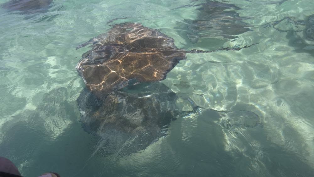 Île Saint John - Îles Vierges des États-Unis