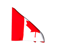 AVE (Visa) pour le Canada