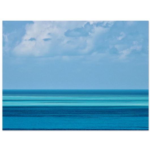 d00f3796-63ef-4251-8f49-1b3e3c76501c