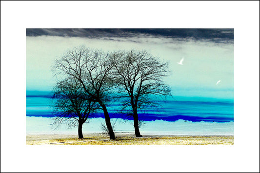 Présence minimale- Photo avec passe partout