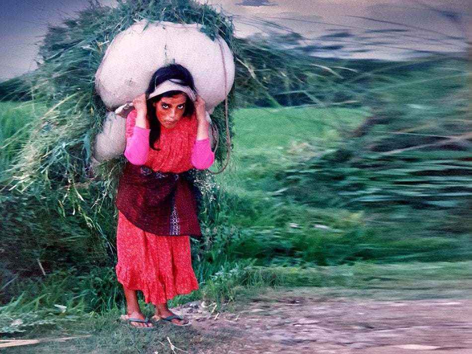 Le transport de charges volumineuses à l'aide d'une sangle frontale est une méthode répandue dans les zones montagneuses et de collines,  au Népal. photo d'art