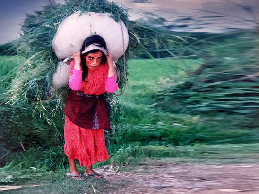Le transport de charges volumineuses à l'aide d'une sangle frontale est une méthode répandue dans les zones montagneuses et de collines,  au Népal. photo d'art