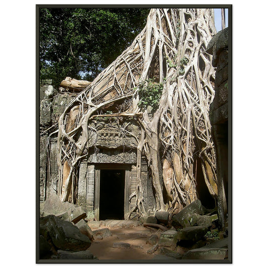 Racines géantes d'un arbre enlaçant une porte en pierre sculptée du temple de Ta Prohm à Angkor, Cambodge