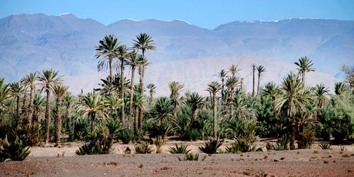 photo sur plexiglass les montagnes de l'Atlas