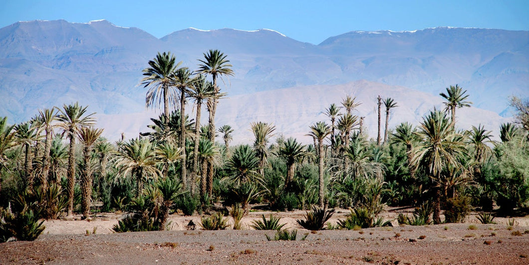 photo sur plexiglass les montagnes de l'Atlas