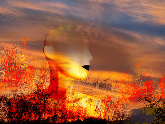 brasier - art digital sur aluminium  70x50cm,