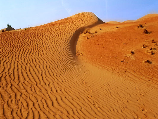 Emirats Arabes Unis Dubai , dunes dans le désert du Rub al-Khali
