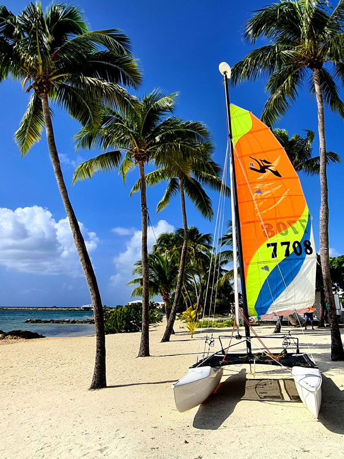 Guadeloupe-plage et palmiers-fichier numérique 30x40cm ou 15x20cm