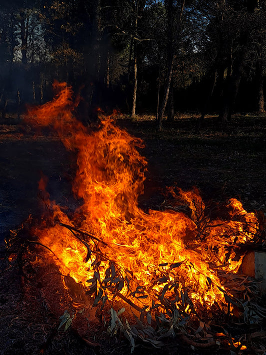 fichier numerique d'un feu près du bois