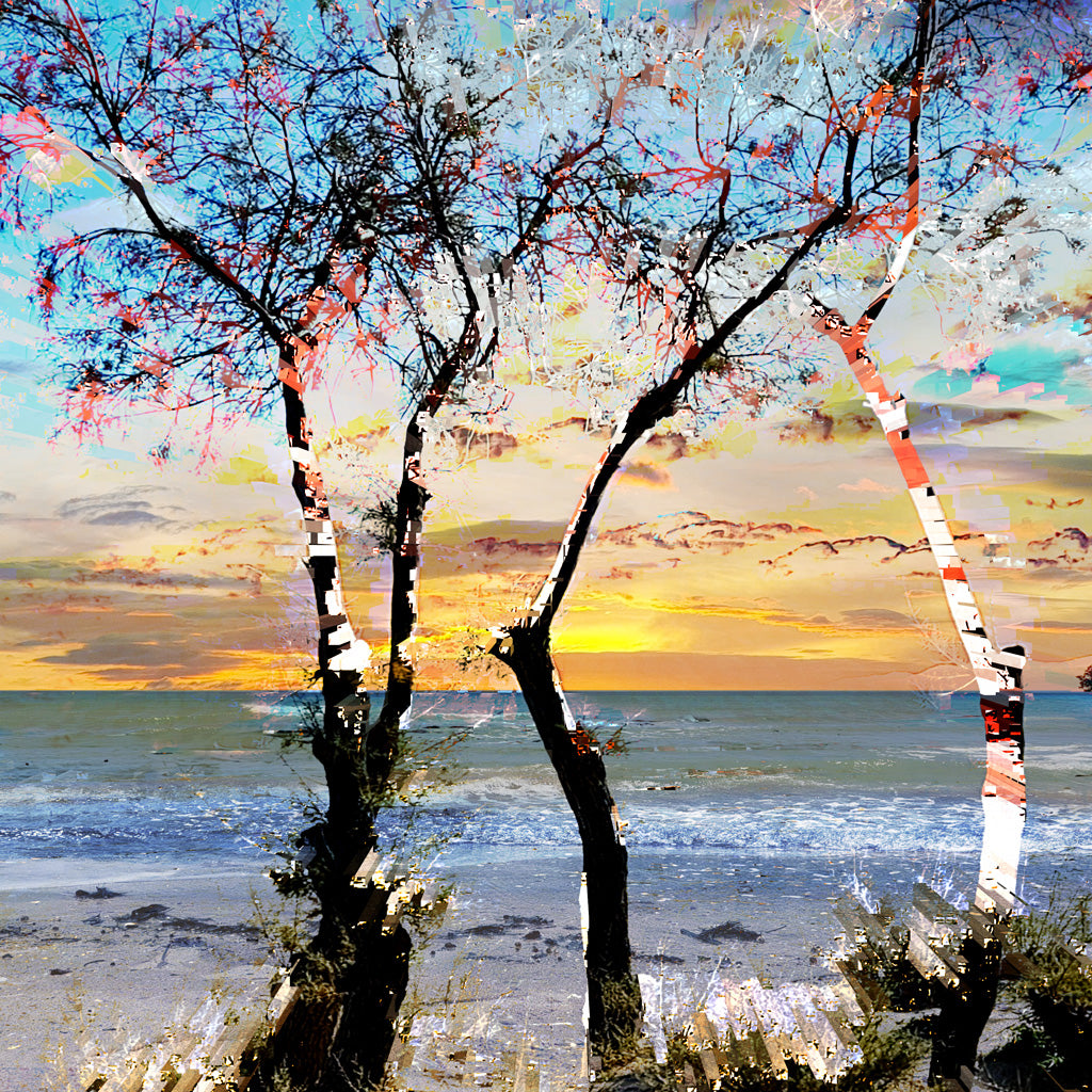 art digital sur alu 60x60cm Arbustes en bord de mer